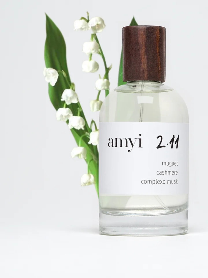 Amyi 2.11